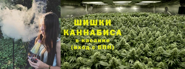 mdma Бородино