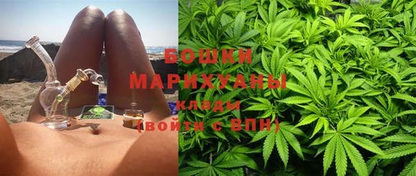 гидропоника Белокуриха
