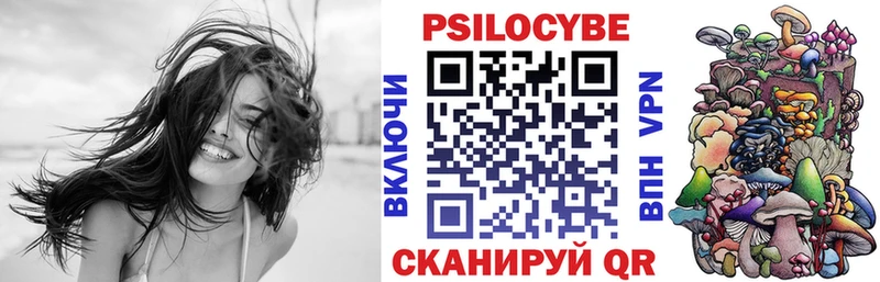 купить закладку  Гулькевичи  мега ТОР  Псилоцибиновые грибы Magic Shrooms 